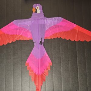 Joel Scholz. 11/96 Parrot - Sky Delight